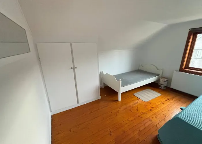 Stor Pa Finnskogen - Stillhet Og Ro Kongsvinger